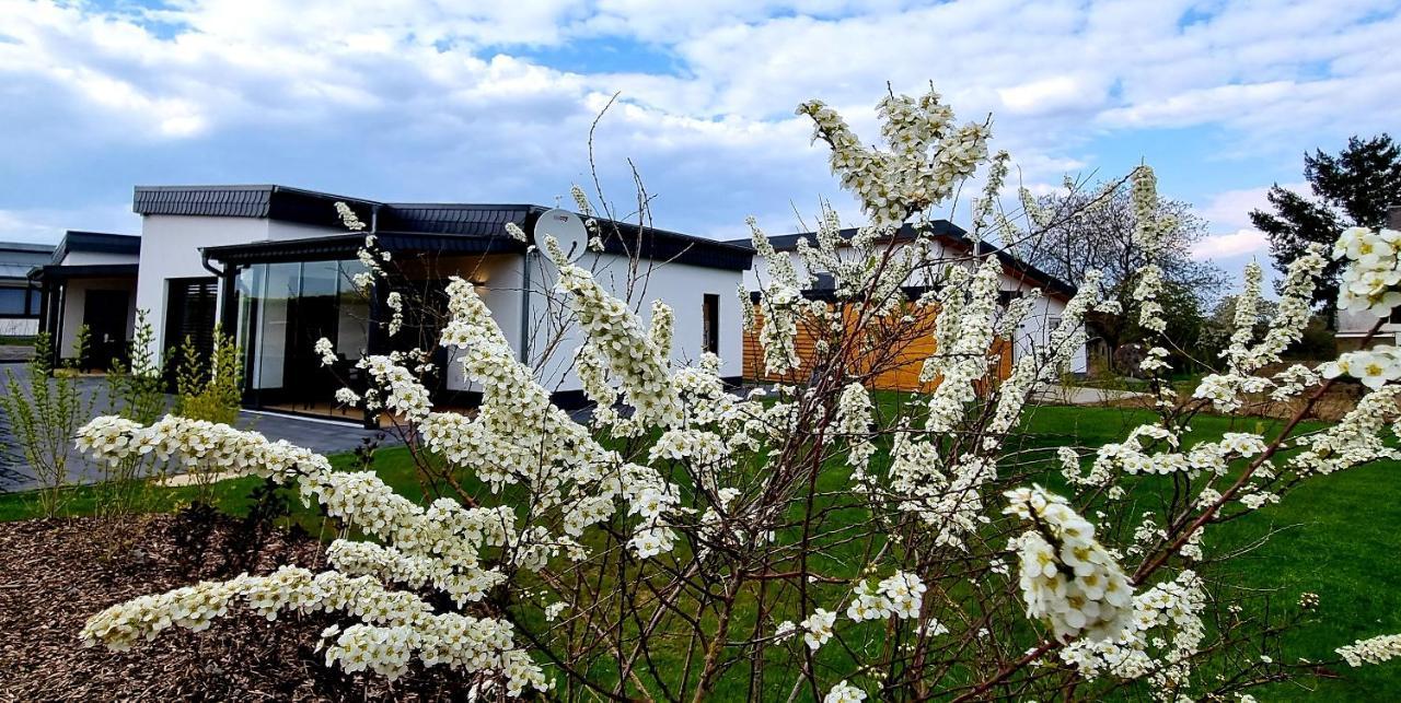Ferienhaeuser Brieden - "Haus Pommerbach" & "Haus Wegwarte" Exterior foto